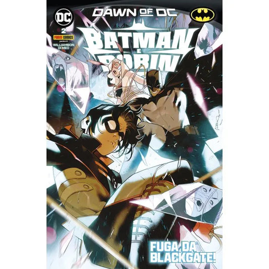 BATMAN E ROBIN 2