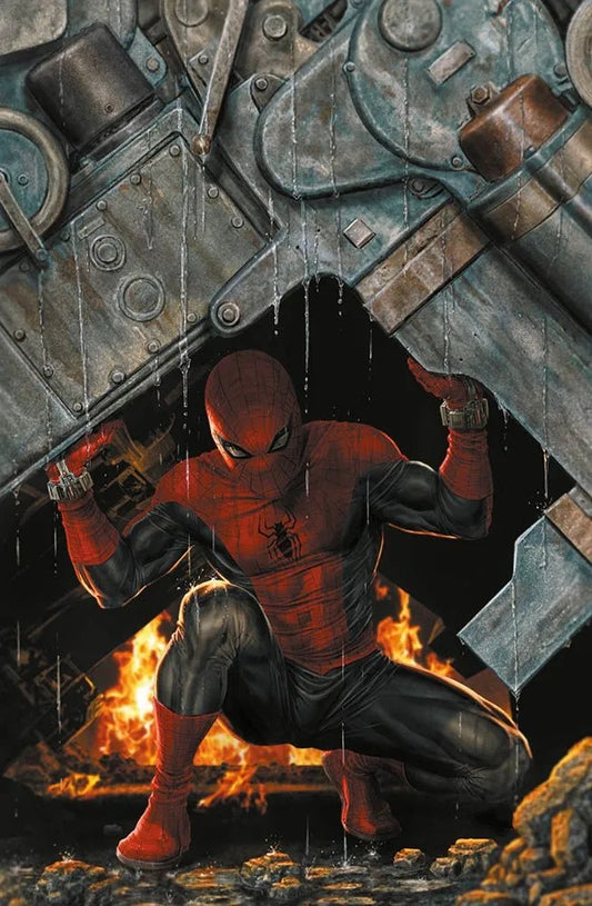 SPIDER-MAN AMAZING VISIONS VARIANT DI LEE BERMEJO 886