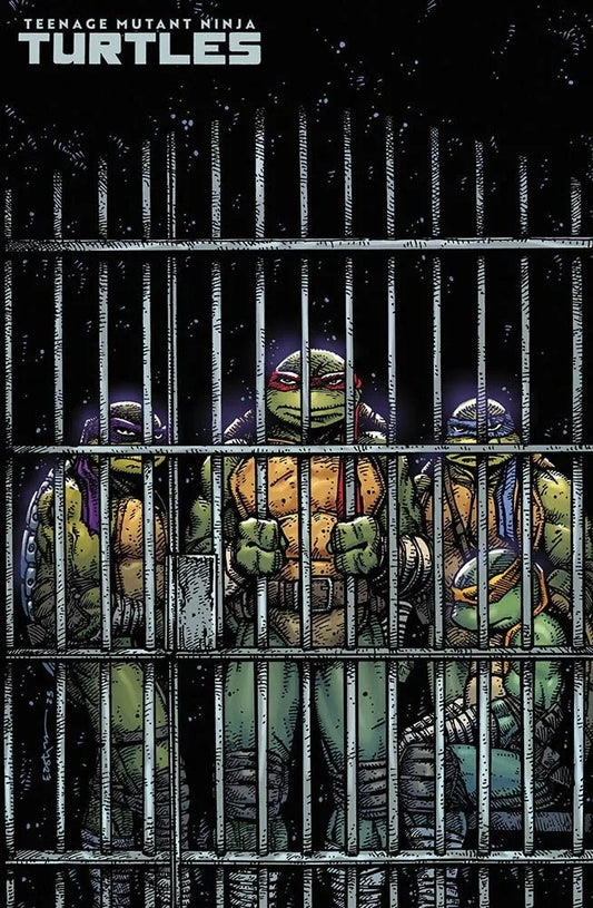 TEENAGE MUTANT NINJA TURTLES 11 VARIANT EASTMAN