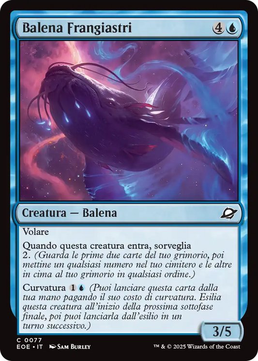 Ai Confini dell' eternità 77 Balena Frangiastri