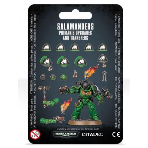 Salamanders - Dotazioni e trasferibili