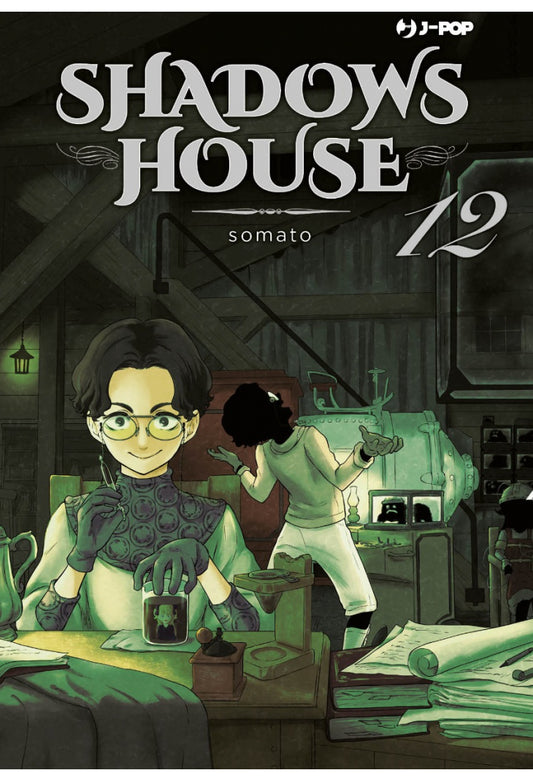 Shadows House 12