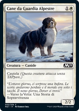 M21, Wizard of the Coast, nuvolosofumetti,