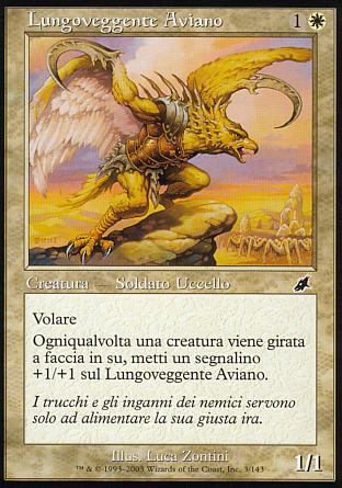 Lungoveggente Aviano  FLAGELLO 3
