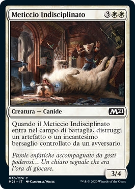 M21, Wizard of the Coast, nuvolosofumetti,