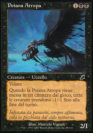 Poiana Atropa  FLAGELLO 63