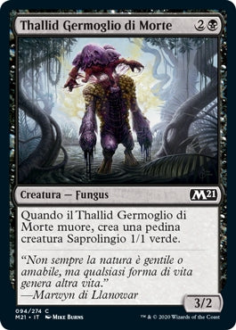 M21, Wizard of the Coast, nuvolosofumetti,