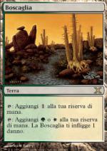 BOSCAGLIA  Decima Edizione 349-Wizard of the Coast- nuvolosofumetti.