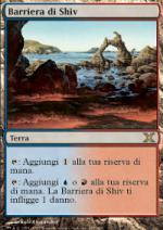 Barriera di Shiv foil  DECIMA EDIZIONE 408-Wizard of the Coast- nuvolosofumetti.