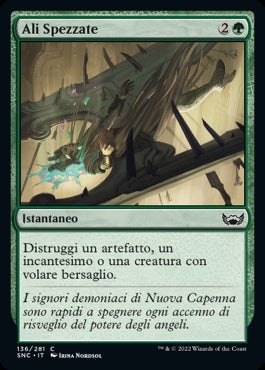 ALI SPEZZATE  Strade di nuova capenna 136