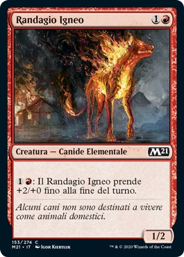 M21, Wizard of the Coast, nuvolosofumetti,