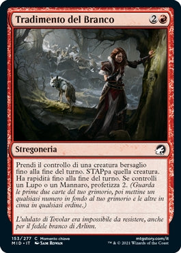 Innistrad caccia di mezzanotte 153 Tradimento del Branco
