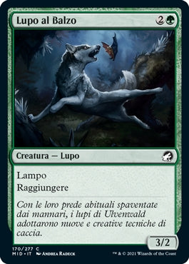 Innistrad caccia di mezzanotte 170 Lupo al Balzo