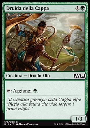 Druida della Cappa  M19 177-Wizard of the Coast- nuvolosofumetti.