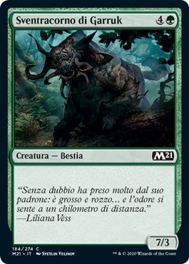 M21, Wizard of the Coast, nuvolosofumetti,