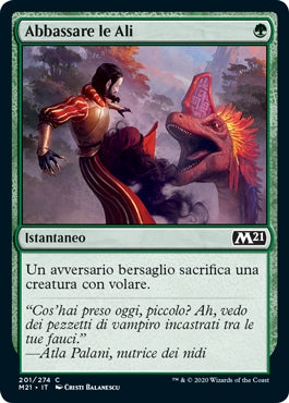 M21, Wizard of the Coast, nuvolosofumetti,