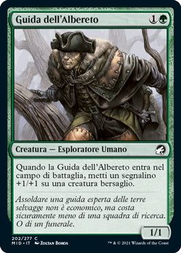 Innistrad caccia di mezzanotte 202 Guida dell'Albereto