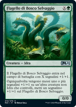 M21, Wizard of the Coast, nuvolosofumetti,