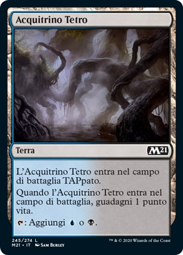 M21, Wizard of the Coast, nuvolosofumetti,