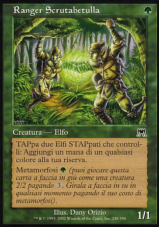 Ranger scrutabetulla  ASSALTO 248