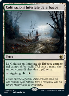 Innistrad caccia di mezzanotte 265 Coltivazioni Infestate da Erbacce