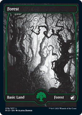 Innistrad caccia di mezzanotte 276 Foresta 276