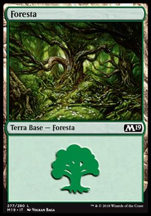 Foresta 1  M19 277-Wizard of the Coast- nuvolosofumetti.