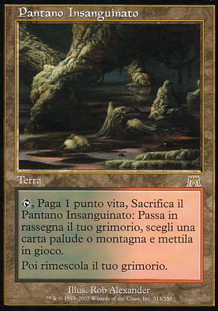 Pantano Insanguinato  ASSALTO 313