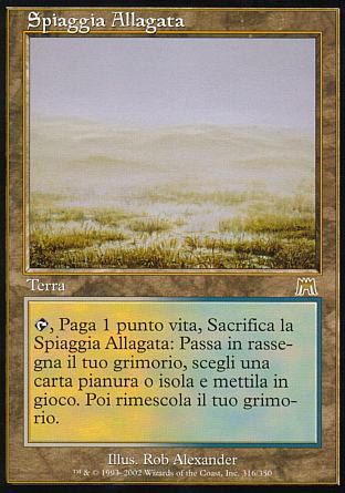 Spiaggia Allagata  ASSALTO 316