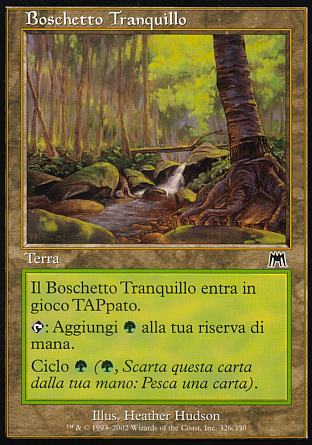 Boschetto tranquillo  ASSALTO 326