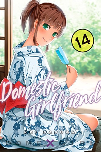 Domestic girlfriend 14