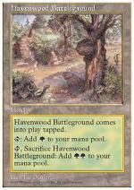 Campo di Battaglia di Havenwood  QUINTA EDIZIONE 2206-Wizard of the Coast- nuvolosofumetti.