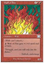 Muro di Fuoco  SESTA 7216-Wizard of the Coast- nuvolosofumetti.