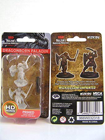 D&DNolzur's - Dragonborn Male Paladin-WIZKIDS/NECA- nuvolosofumetti.