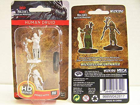 Human Druid-WIZKIDS/NECA- nuvolosofumetti.