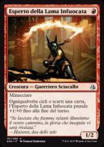 Esperto della Lama Infuocata  Amonkhet 3131-Wizard of the Coast- nuvolosofumetti.