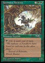 Antichi di Yavimaya  ALLEANZE 1125-Wizard of the Coast- nuvolosofumetti.