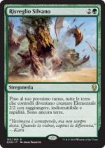 Risveglio Silvano  Dominaria 6183-Wizard of The Coast- nuvolosofumetti.