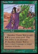Muro Infiammabile  ERA GLACIALE 6246-Wizard of the Coast- nuvolosofumetti.