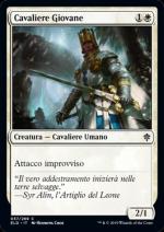 Il Trono di Eldraine 37