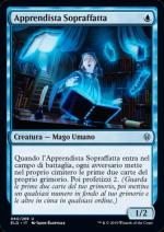 Il Trono di Eldraine 60