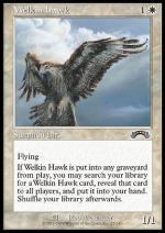 Falco Welkin  ESODO 8025-Wizard of the Coast- nuvolosofumetti.