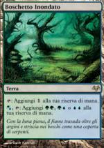 Boschetto Inondato   VESPRO 177-Wizard of the Coast- nuvolosofumetti.