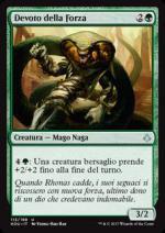 Devoto della Forza  L'era della rovina 113-Wizard of the coast- nuvolosofumetti.