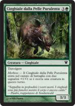 Cinghiale dalla Pelle Purulenta   innistrad 179-Wizard of the Coast- nuvolosofumetti.