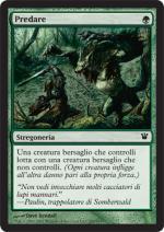 Predare   innistrad 200-Wizard of the Coast- nuvolosofumetti.