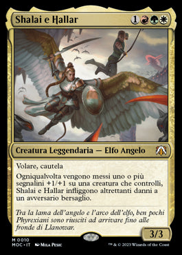 SHALAI E HALLAR commander l'avanzata delle macchine  Avanzata delle macchine 442