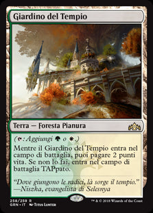 Giardino del Tempio  Gilde di Ravnica 258-Wizard of The Coast- nuvolosofumetti.