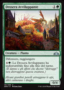 Drosera Avviluppante  Gilde di Ravnica 131-Wizard of The Coast- nuvolosofumetti.