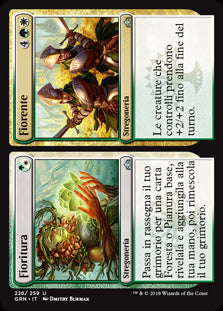 Fioritura / Fiorente  Gilde di Ravnica 226-Wizard of The Coast- nuvolosofumetti.